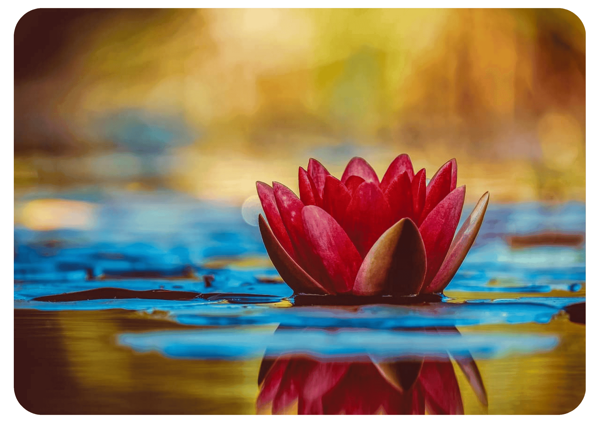 Lire la suite à propos de l’article Les accords toltèques, une voie vers la liberté intérieure