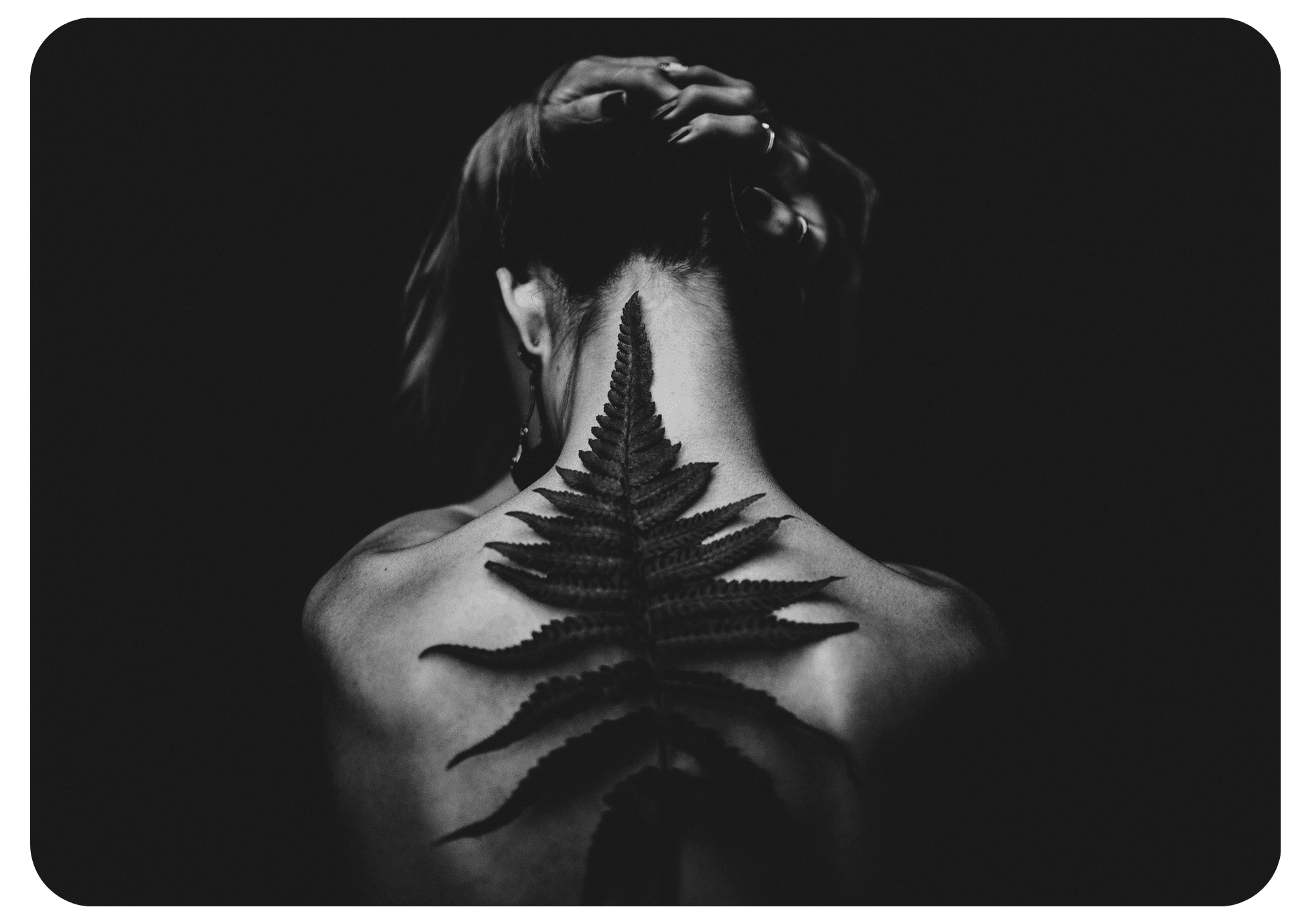 Lire la suite à propos de l’article Traumatisme et amnésie traumatique : Comprendre pour Mieux Guérir