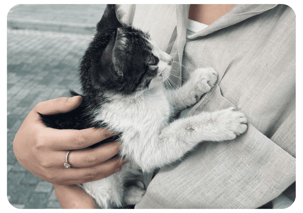 Régulation du système nerveux par thérapie holistique à Nantes